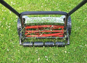 shutterstock_174242594-1